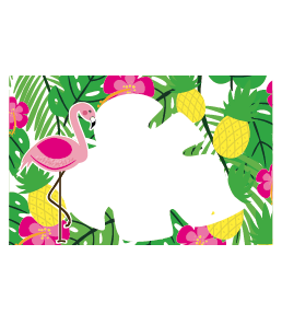 Identificador Flamenco 8u